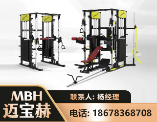 阿拉善多功能综合训练器