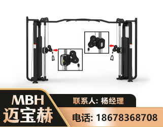 阿拉善大飞鸟训练器