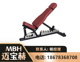 阿拉善可调哑铃椅