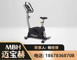 阿拉善立式健身车